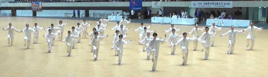 混元24式集体 混元24式集体