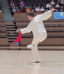 陳式太極刀表演 陳式太極刀表演