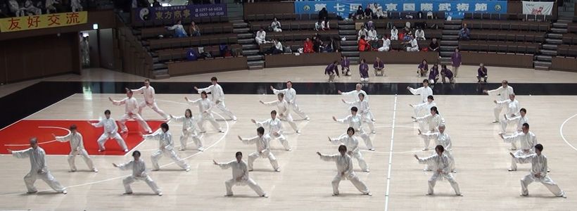 陳式混元24式 陳式混元24式