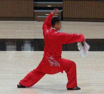 張紹偉老師 楊式太極扇 張紹偉老師 楊式太極扇