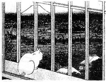 画像の説明 画像の説明